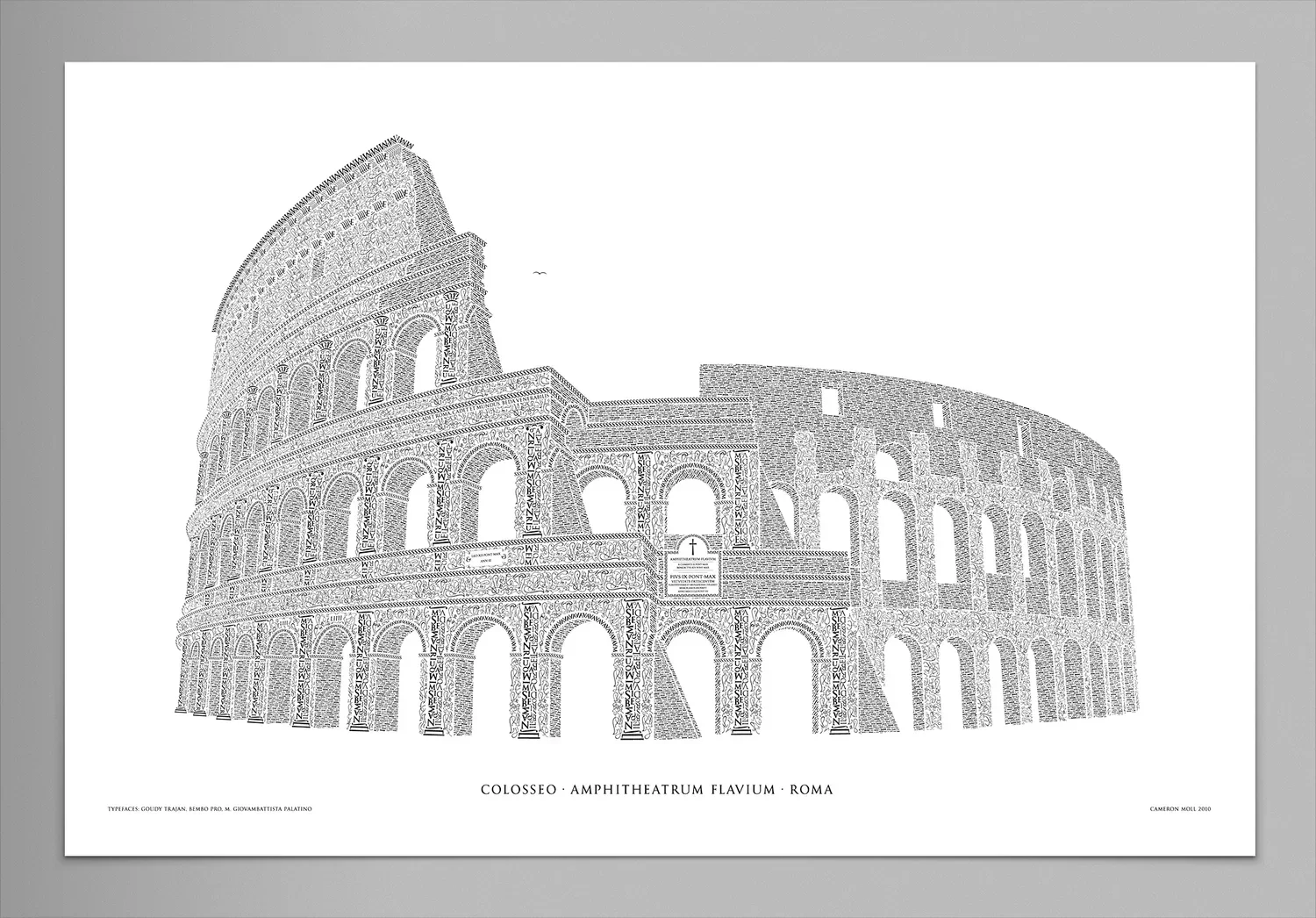 Structures in Type